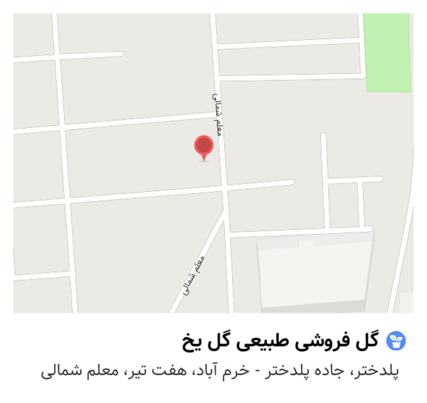 عکس گل فروشی طبیعی