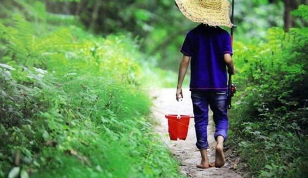 نمایشگاه عکس مدرسه طبیعت