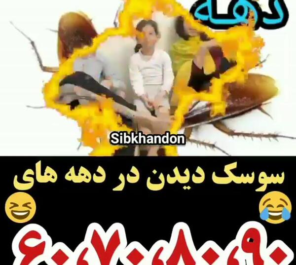 طنز عکس سوسک خنده دار