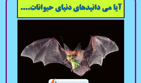 عکس زمین علوم ششم