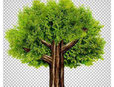 عکس زمین کارتونی