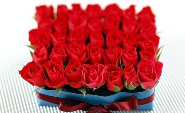 عکس گل رز برای تولد