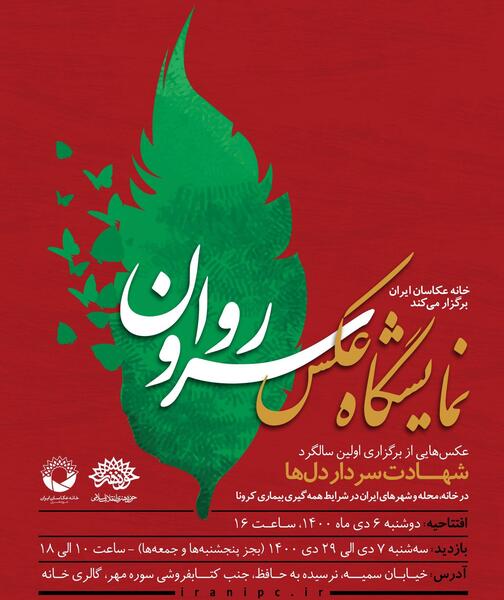نمایشگاه عکس سرو روان