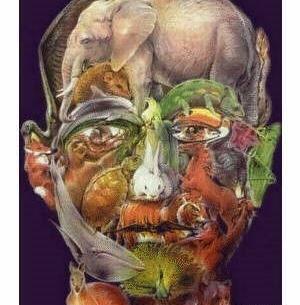عکس خطای دید چهره
