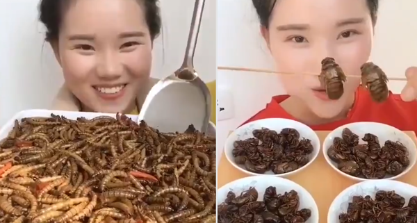 عکس سوسک خوردن چینی ها