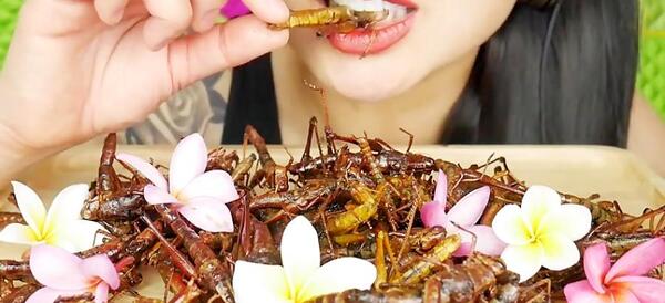عکس سوسک خوردن چینی ها