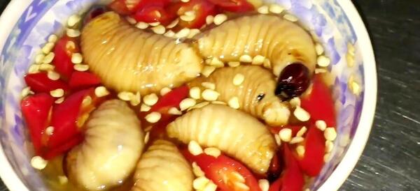 عکس سوسک خوردن چینی ها