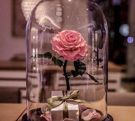 عکس گل توی شیشه