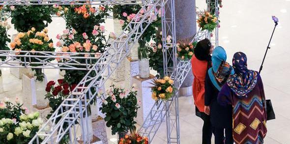 عکس نمایشگاه گل و گیاه تهران