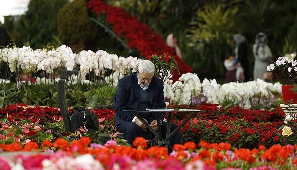 عکس نمایشگاه گل و گیاه تهران