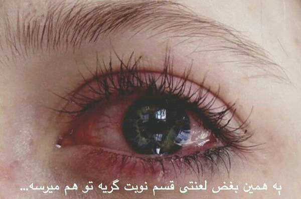 عکس نوشته زمین گرده