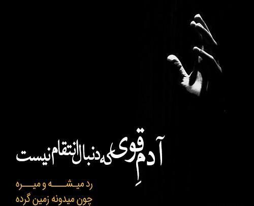 عکس نوشته زمین گرده