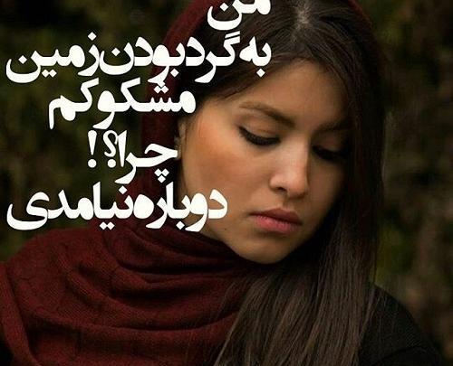 عکس نوشته زمین گرده