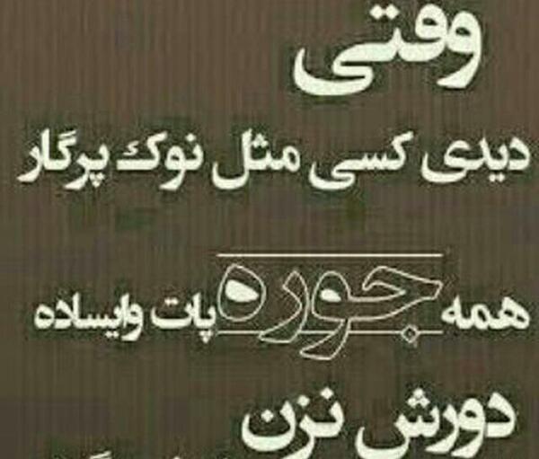 عکس نوشته زمین گرده
