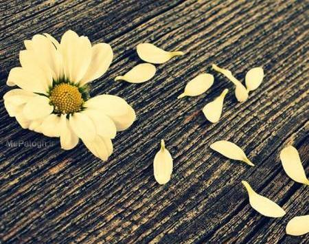 عکس های خطای دید دخترانه