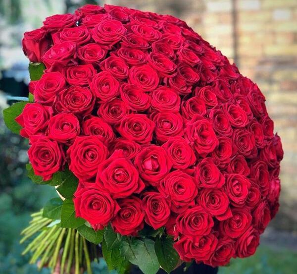 عکس گلهای طبیعی جهان