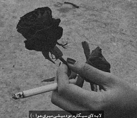 عکس دپ پروف