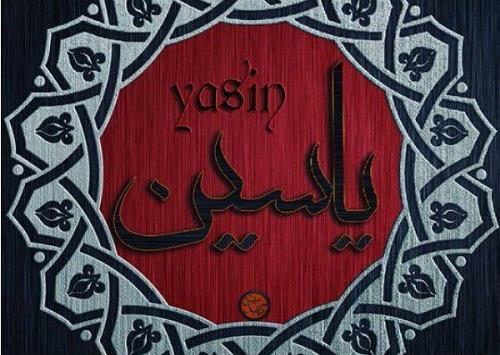 عکس پروفایل یاسین زیبا