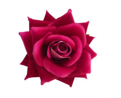 عکس گل رز مخملی قرمز