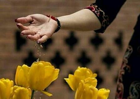 عکس پروفایل پرنده زیبا