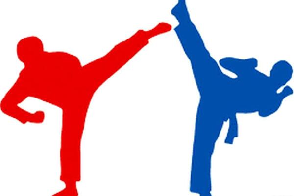 عکس نقاشی دختر تکواندوکار