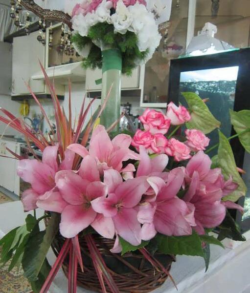 عکس گل خواستگاری طبیعی