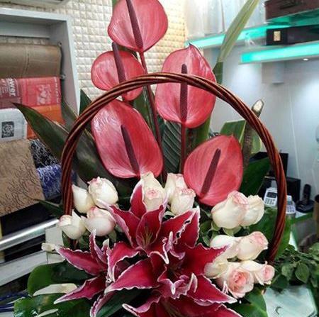 عکس گل خواستگاری طبیعی