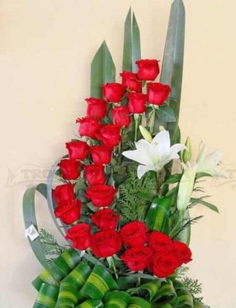 عکس گل خواستگاری طبیعی