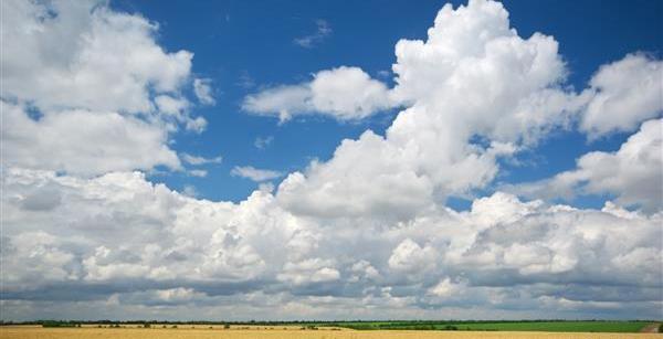 عکس زمین کشاورزی گندم