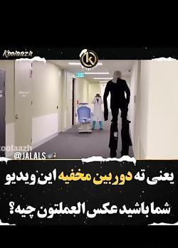 عکس سوسک الکی