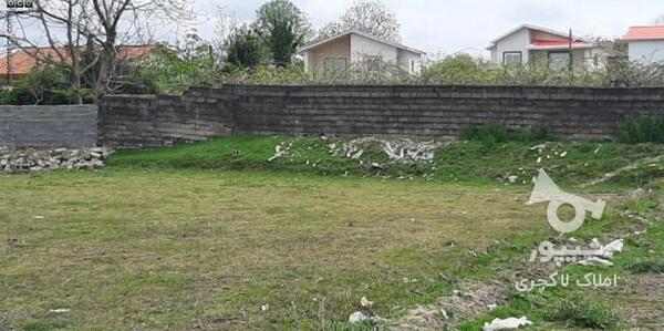 عکس زمین مسکونی شمال
