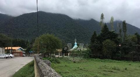 عکس زمین مسکونی شمال