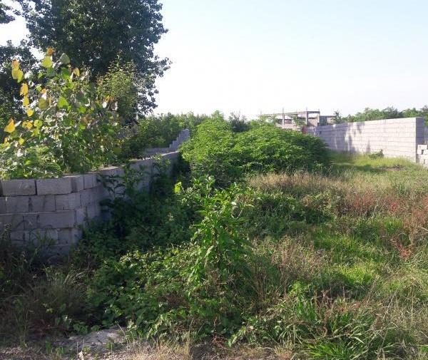 عکس زمین مسکونی شمال