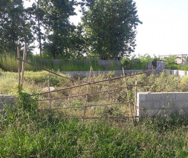 عکس زمین مسکونی شمال