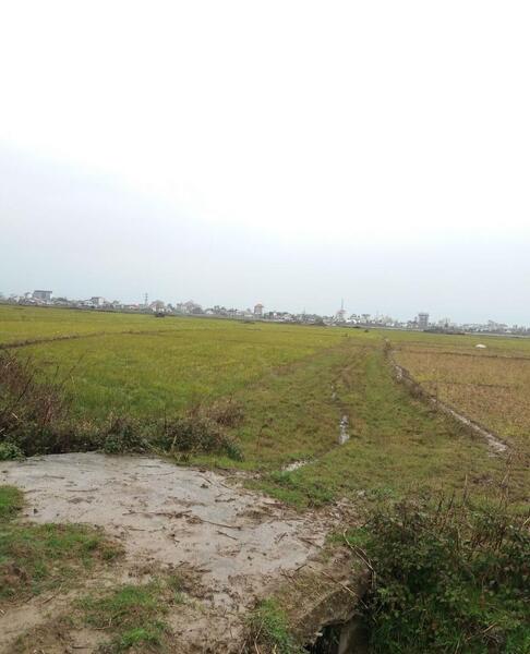 عکس زمین مسکونی شمال