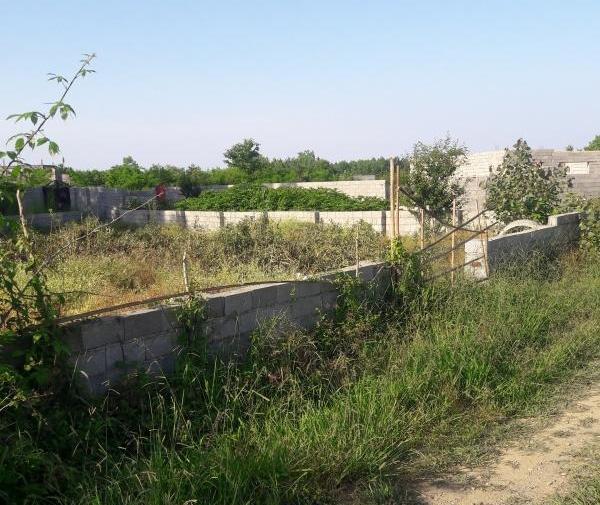 عکس زمین مسکونی شمال