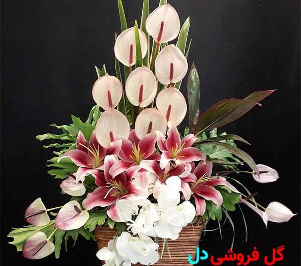 عکس هدیه های ولنتاین