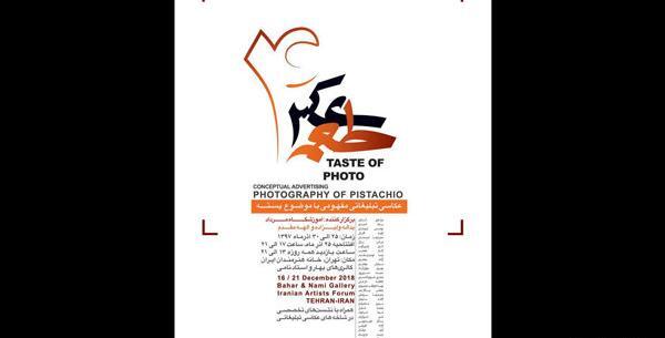 نمایشگاه طعم عکس