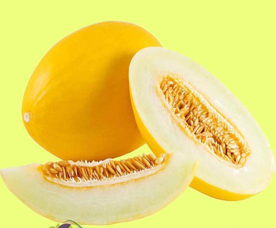 عکس خربزه