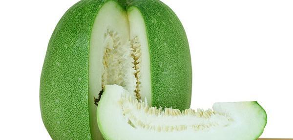 عکس خربزه