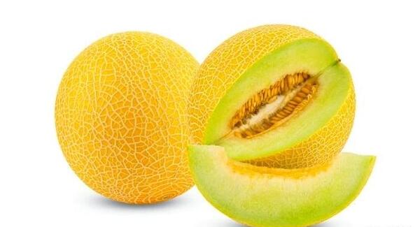 عکس خربزه