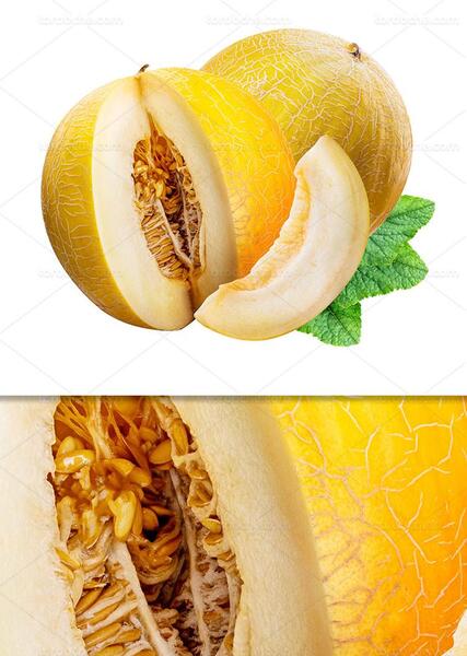 عکس خربزه