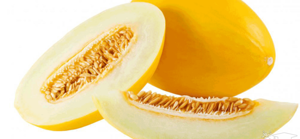 عکس خربزه