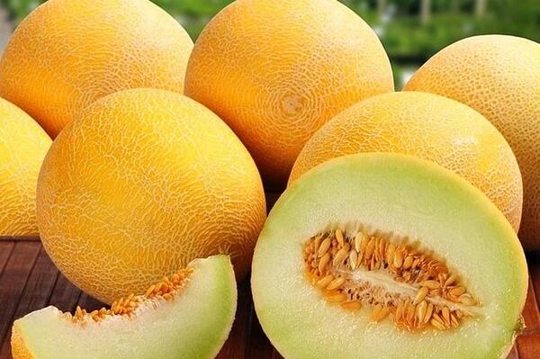 عکس خربزه