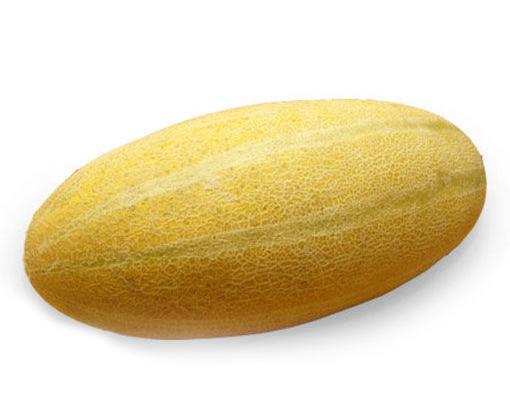 عکس خربزه