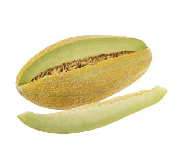 عکس خربزه