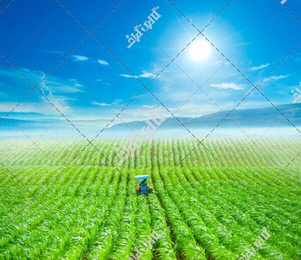 عکس زمین کشاورزی