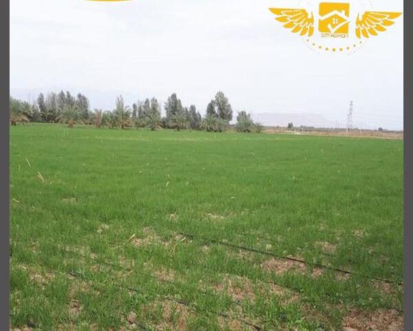 عکس زمین کشاورزی