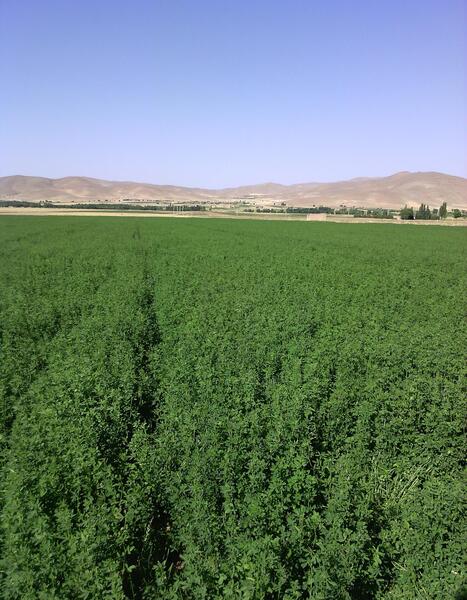 عکس زمین کشاورزی
