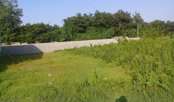 عکس زمین جنگلی